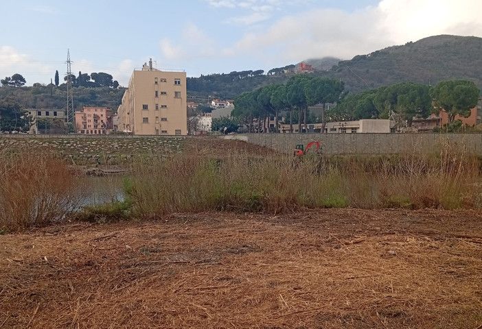 Albenga, entro marzo la fine dei lavori di pulizia del Centa: conservate isole di vegetazione e migliorato il decoro Albenga, entro marzo la fine dei lavori di pulizia del Centa: conservate isole di vegetazione e migliorato il decoro