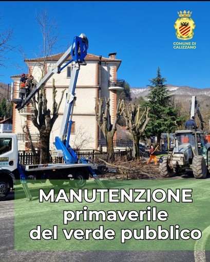 Calizzano, partono gli interventi sul verde: potature in via XXV Aprile per sicurezza e tutela del territorio