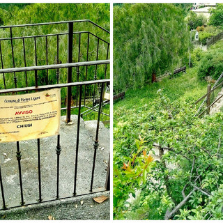 Pietra Ligure, il consigliere Carrara all'attacco su parchi cittadini e aree verdi: "Sembrano diventati delle filiali della foresta Amazzonica"