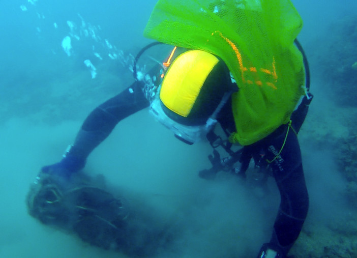 I fondali di Bergeggi come non li avete mai visti: snorkeling nel'area marina protetta
