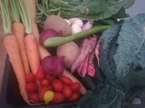 "Campagna sana, dieta amica": la proposta di Coldiretti Liguria per la Settimana mondiale dell'alimentazione "Campagna sana, dieta amica": la proposta di Coldiretti Liguria per la Settimana mondiale dell'alimentazione