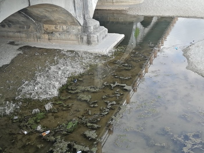 Finale, dopo lo stop per maltempo torna domenica 16 ottobre la pulizia dei fiumi Finale, dopo lo stop per maltempo torna domenica 16 ottobre la pulizia dei fiumi