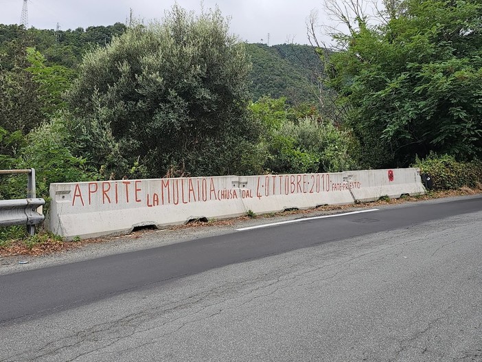 Varazze, a Casanova la protesta scatta sui new jersey: "Aprite la Mulaiea, chiusa dal 4 ottobre 2010-Fate presto" Varazze, a Casanova la protesta scatta sui new jersey: "Aprite la Mulaiea, chiusa dal 4 ottobre 2010-Fate presto"