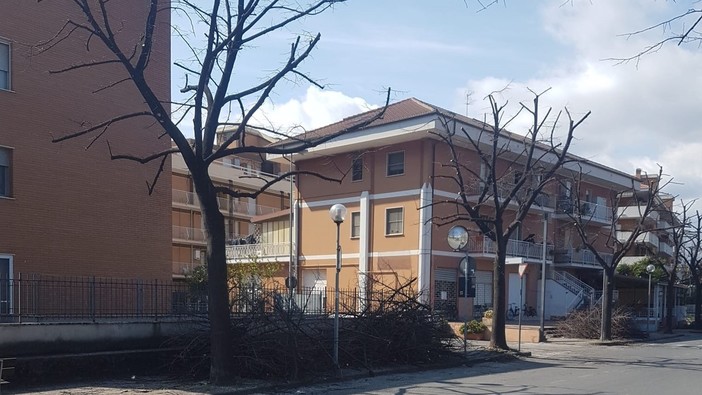 Albenga, potati gli alberi in viale 8 marzo. Prosegue così il piano di manutenzione del verde pubblico Albenga, potati gli alberi in viale 8 marzo. Prosegue così il piano di manutenzione del verde pubblico