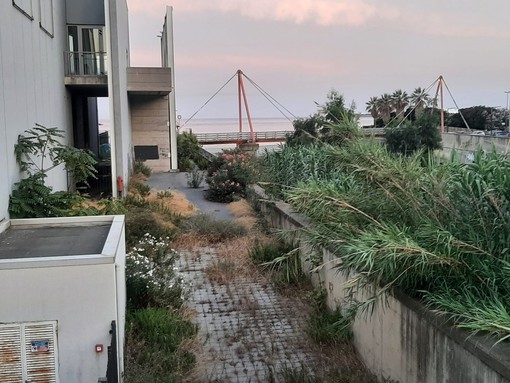 Savona, si ricostituisce il gruppo Gress che chiede il ripristino della passerella tra corso Colombo e il Prolungamento Savona, si ricostituisce il gruppo Gress che chiede il ripristino della passerella tra corso Colombo e il Prolungamento