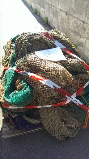 Le frodi nella pesca: dal mare alla tavola