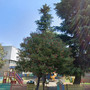 Recinzione nel parco giochi de La Massa, sopralluogo della minoranza con il Sindaco