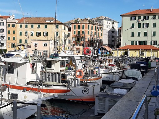 Savona, controlli della Capitaneria sul peschereccio Alalunga: "Peschiamo con le reti non di certo con le bombe"