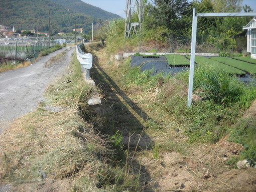 Albenga, al via i lavori di pulizia del rio Carpaneto (FOTO) Albenga, al via i lavori di pulizia del rio Carpaneto (FOTO)