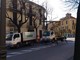 Proseguono le potature del verde pubblico in Viale Pontelungo ad Albenga Proseguono le potature del verde pubblico in Viale Pontelungo ad Albenga