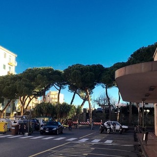 Albenga, al via il taglio dei pini in piazza Matteotti. Il vice sindaco Tomatis: "Intervento necessario"