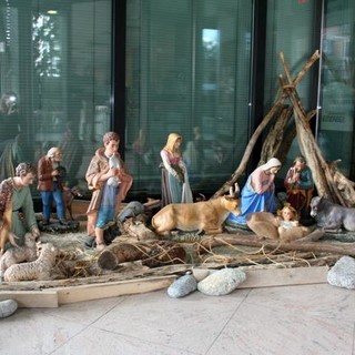 La Provincia di Savona perde il presepe dell’atrio, Vaccarezza all’attacco