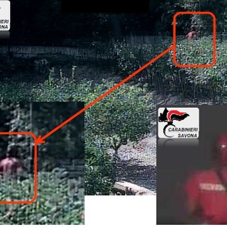 Spotorno, gruppi consiliari all'attacco dopo la cattura del piromane: "Dichiarazioni del sindaco sulla videosorveglianza hanno dell'incredibile" Spotorno, gruppi consiliari all'attacco dopo la cattura del piromane: "Dichiarazioni del sindaco sulla videosorveglianza hanno dell'incredibile"