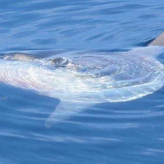 Immagine di repertorio