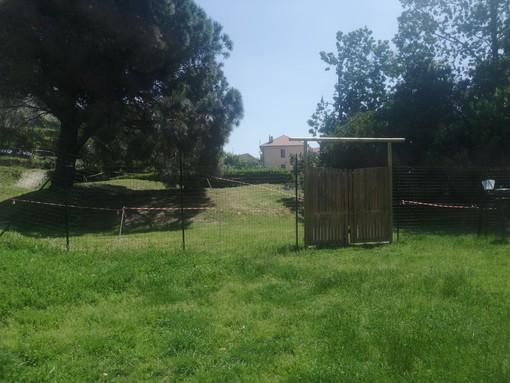 Spotorno, un'area mountain bike per recuperare a pieno il parco della Magiarda Spotorno, un'area mountain bike per recuperare a pieno il parco della Magiarda