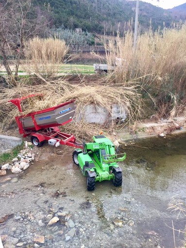 Tovo San Giacomo: continua la pulizia del torrente Maremola