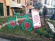 Giro d'Italia, concerti, eventi e molto altro nel weekend in Provincia di Savona Giro d'Italia, concerti, eventi e molto altro nel weekend in Provincia di Savona