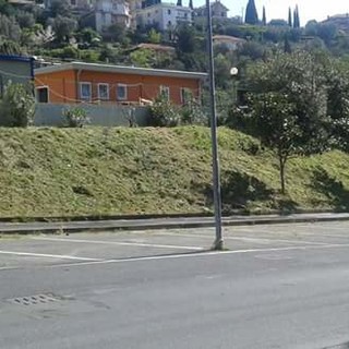 Alassio, operazione di pulizia nei pressi del campetto di Loreto