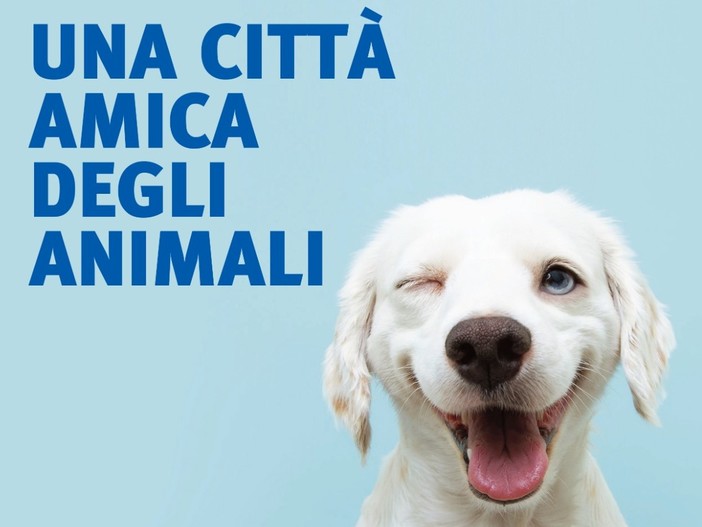 Savona 2021, "Andare Oltre" punta sul pet friendly: lunedì 26 luglio una camminata al Prolungamento Savona 2021, "Andare Oltre" punta sul pet friendly: lunedì 26 luglio una camminata al Prolungamento