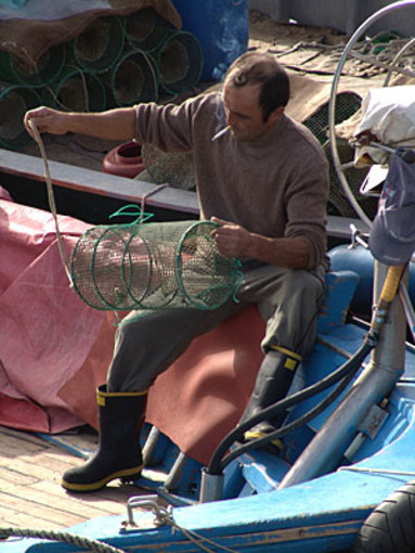 Coldiretti: &quot;La chiusura serale anti-Covid alla ristorazione condiziona il settore ittico ligure&quot;