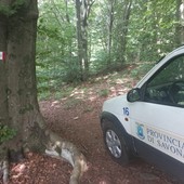 Provincia, 180mila euro per la tutela degli ecosistemi e il turismo sostenibile Provincia, 180mila euro per la tutela degli ecosistemi e il turismo sostenibile