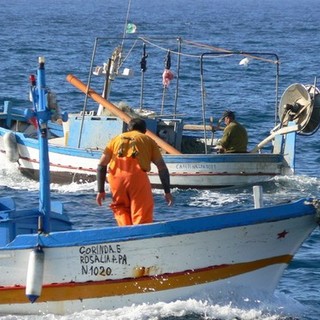 Riduzione delle giornate di pesca, Coldiretti: &quot;In Liguria a rischio 500 imbarcazioni e diverse imprese&quot;