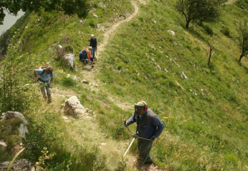 Finale, il Movimento 5 Stelle: “Chiediamo una campagna promozionale per reclutare nuovi Vigilanti Ecologici” Finale, il Movimento 5 Stelle: “Chiediamo una campagna promozionale per reclutare nuovi Vigilanti Ecologici”