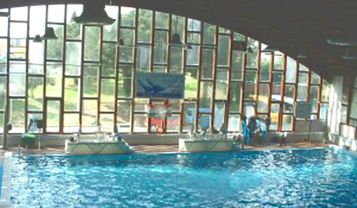 Riapre la piscina nel Palazzetto dello Sport di Loano