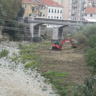 Savona, prosegue la pulizia del Letimbro alla foce e a Lavagnola. Assessore Santi: "Presto gli interventi in zona Riborgo e al Santuario" (FOTO E VIDEO)