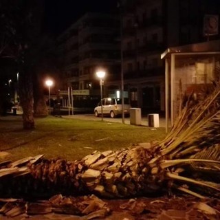 Foto tratte dalla pagina Facebook "Sei di Andora se..."