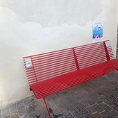 Cairo si tinge di rosso: la città contro la violenza sulle donne Cairo si tinge di rosso: la città contro la violenza sulle donne