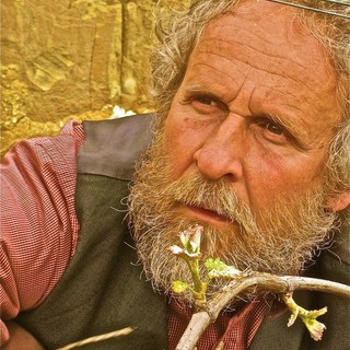 Ortovero: con l'attore Pino Petruzzelli alla scoperta del Pigato. Laboratori didattici, contest, degustazioni