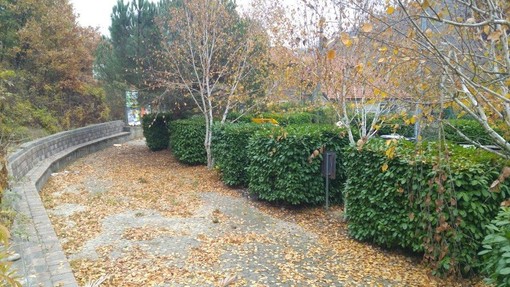 Area di sosta in località Barla: si accende la bagarre all'interno del Comune di Plodio Area di sosta in località Barla: si accende la bagarre all'interno del Comune di Plodio