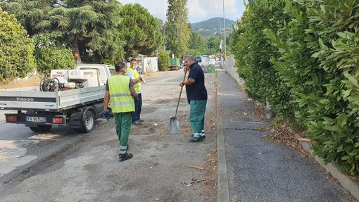 Savona, rifiuti e auto abbandonate in zona Paip a Legino: pulita l'area (FOTO)