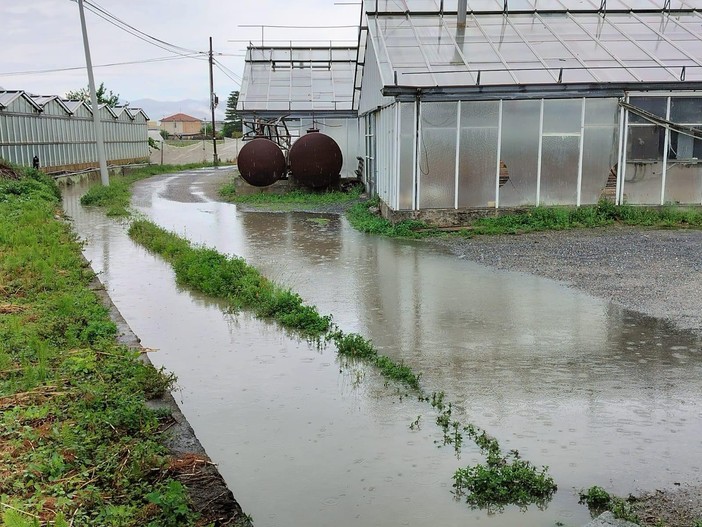 Albenga, Podio: "Per la messa in sicurezza della Piana il sindaco incontra Bucci a mani vuote"
