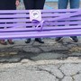 Albisola, inaugurata la panchina viola per la fibromialgia sul Lungomare Montale (FOTO)