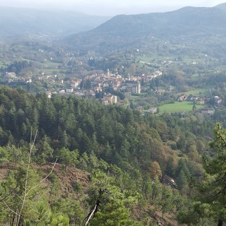 Foto d'archivio