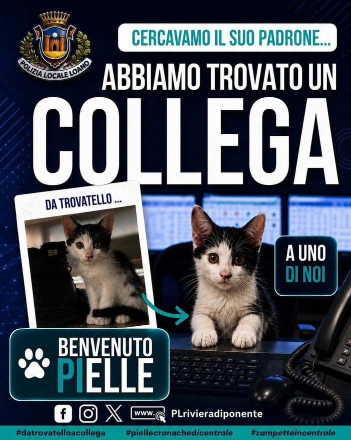 Loano, il gattino trovato in Campo Cadorna diventa la mascotte della Polizia Locale: "Benvenuto Pielle" Loano, il gattino trovato in Campo Cadorna diventa la mascotte della Polizia Locale: "Benvenuto Pielle"
