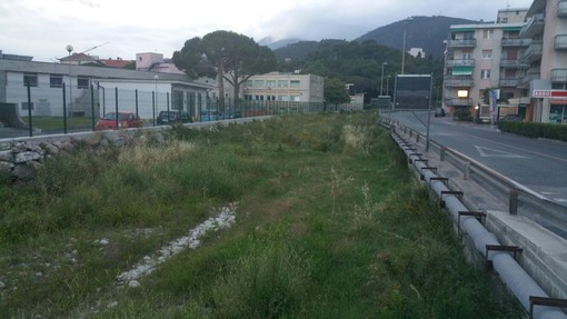 Il greto del rio Ranzi a Pietra invaso dagli arbusti: la segnalazione di un lettore Il greto del rio Ranzi a Pietra invaso dagli arbusti: la segnalazione di un lettore