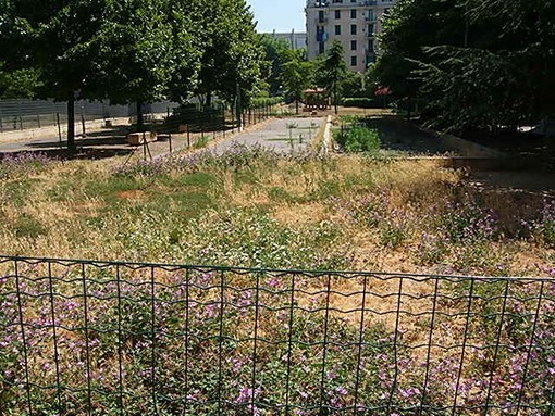 Savona, degrado in Piazza delle Nazioni, l'Enpa: "Riapriamo l'area cani" Savona, degrado in Piazza delle Nazioni, l'Enpa: "Riapriamo l'area cani"
