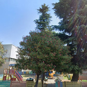 Recinzione nel parco giochi de La Massa, sopralluogo della minoranza con il Sindaco