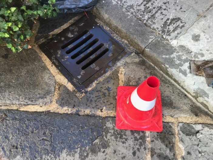 Albenga: intervento pulizia griglie e disinfestazione contro le zanzare Albenga: intervento pulizia griglie e disinfestazione contro le zanzare