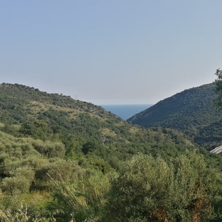 GAL Valli Savonesi, aperte le manifestazioni d'interesse al bando per la creazione di un Consorzio Forestale GAL Valli Savonesi, aperte le manifestazioni d'interesse al bando per la creazione di un Consorzio Forestale