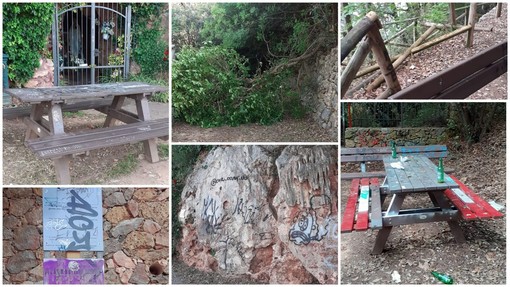 Pietra, il consigliere Carrara: "Parco Offenburg in malora, situazione incresciosa che va avanti da tre anni" Pietra, il consigliere Carrara: "Parco Offenburg in malora, situazione incresciosa che va avanti da tre anni"