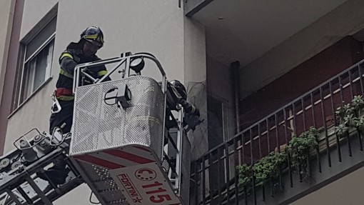 Vigili del fuoco salvano un piccione intrappolato in una rete ad Albenga (FOTO e VIDEO)