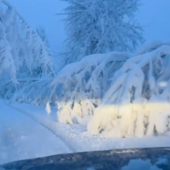 Roccavignale, stretta del sindaco dopo le nevicate: controlli e sanzioni per chi non taglia le piante pericolanti