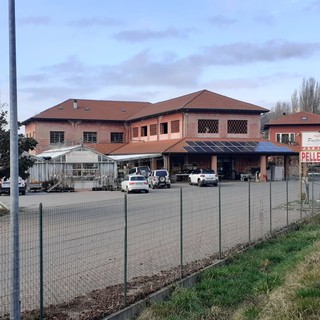 Cairo, colpo notturno al "Punto Verde" di Corso XXV Aprile: rubati 300 euro, i ladri ripresi dalle telecamere Cairo, colpo notturno al "Punto Verde" di Corso XXV Aprile: rubati 300 euro, i ladri ripresi dalle telecamere