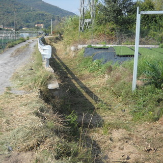 Albenga, al via i lavori di pulizia del rio Carpaneto (FOTO)