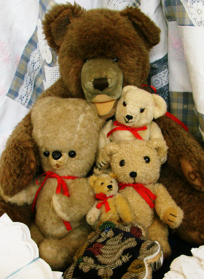 A Savona una raccolta di peluche per i bambini più bisognosi A Savona una raccolta di peluche per i bambini più bisognosi