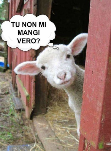 Enpa, "Per una Pasqua di Pace" arrivano le uova solidali